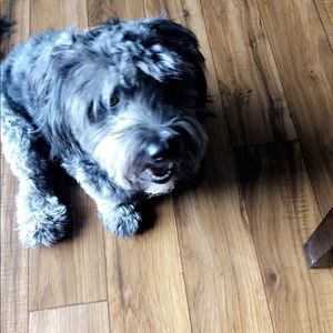 Meet your Posher, Angel